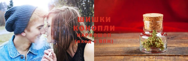 дурь Аркадак