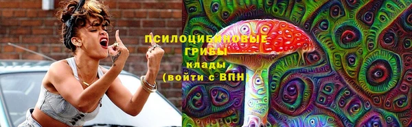 дурь Аркадак