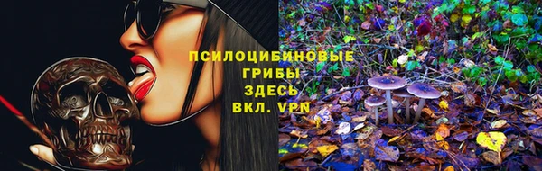 спиды Арсеньев